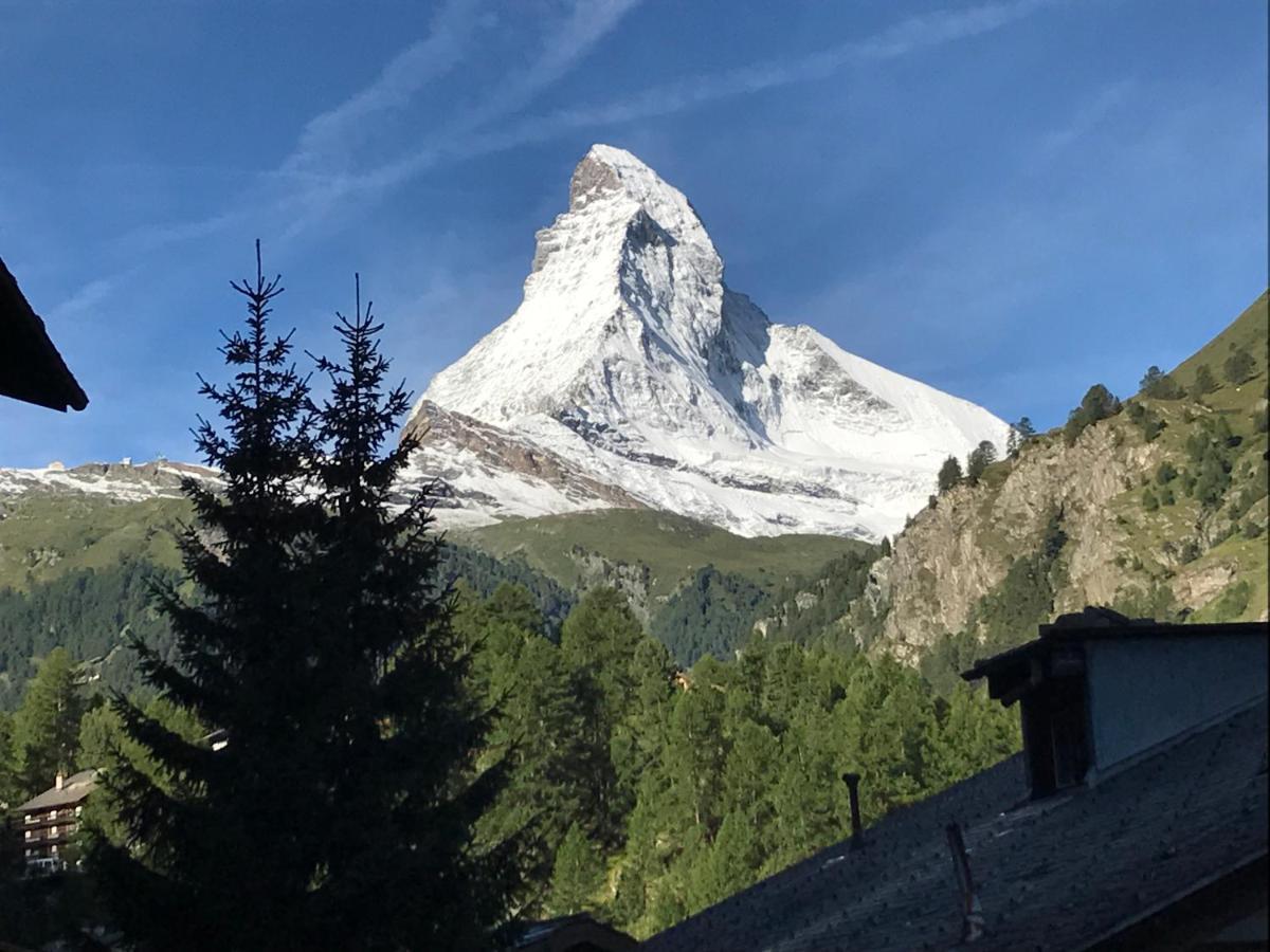 Appartamento Haus Floralp Zermatt Esterno foto