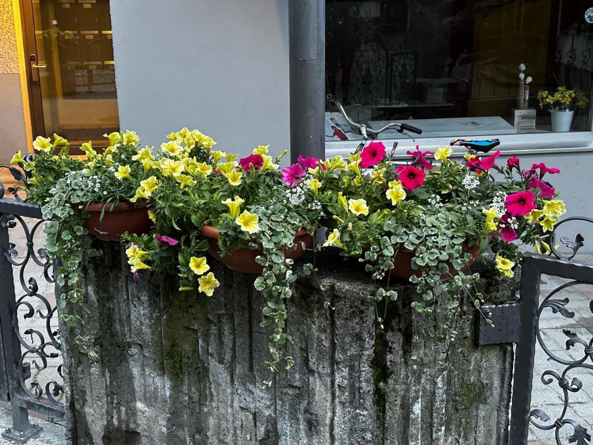Appartamento Haus Floralp Zermatt Esterno foto