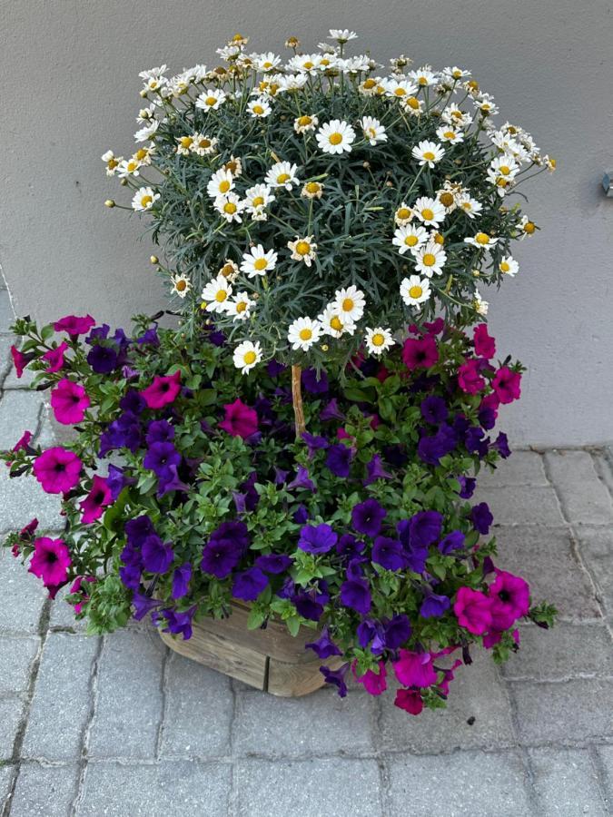 Appartamento Haus Floralp Zermatt Esterno foto